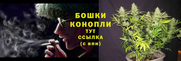 шишки Елизово
