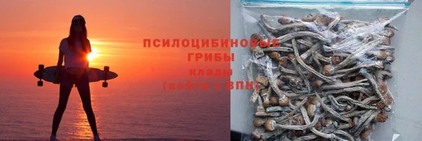 PSILOCYBIN Абдулино