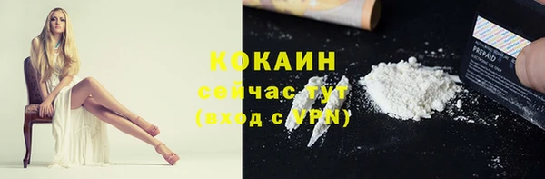 spice Абаза