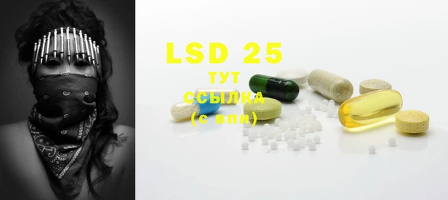 PSILOCYBIN Абдулино